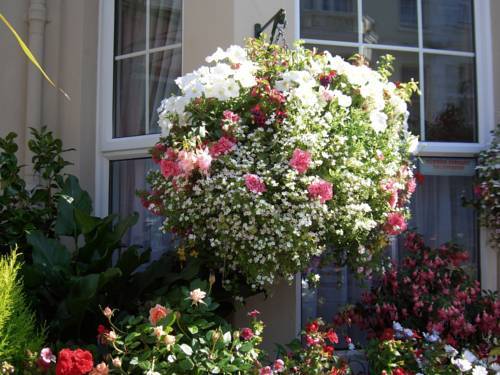 Loriston Guest House Eastbourne Eksteriør bilde